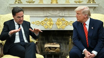 « C’était vraiment extraordinaire » : Donald Trump révèle les lauriers que lui tresse le chef de l’Otan en publiant son message