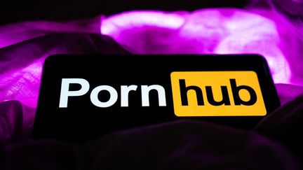 Les sites pornographiques YouPorn et Pornhub sont de nouveau accessibles en France après un revers gouvernemental