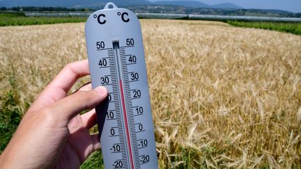 Vague de chaleur : visualisez à quel point les températures sont hors normes pour un premier jour d’été en France
