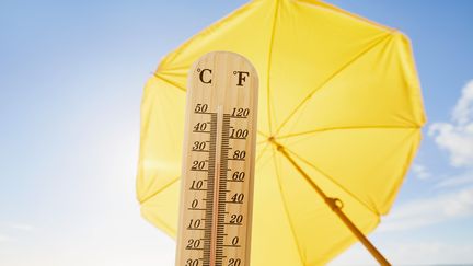 Vague de chaleur : douche froide, climatisation, alimentation… Ces idées reçues pour se rafraîchir sont-elles réellement conseillées ?