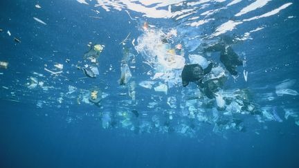 Protection des océans : les dix recommandations de 2 000 scientifiques avant la Conférence de l’ONU à Nice