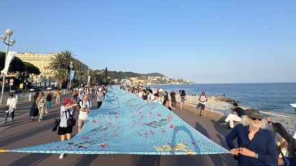 Chalutage dans les aires marines protégées : des ONG demandent à Emmanuel Macron l’interdiction de cette pêche, et pas seulement sa limitation