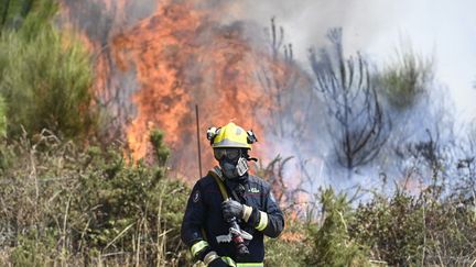 En Espagne, la fin des incendies « se rapproche », selon la cheffe de la Protection civile
