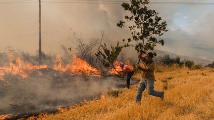 Les incendies ont brûlé plus d’un million d’hectares dans les pays de l’Union européenne depuis début 2025, du jamais-vu
