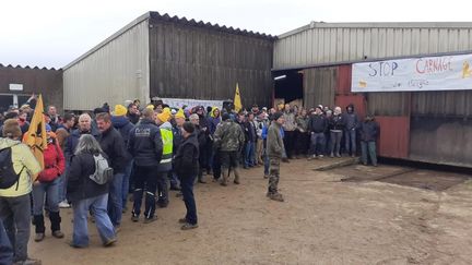Dermatose nodulaire : le troupeau d’une exploitation dans le Doubs va être abattu, malgré la mobilisation des agriculteurs