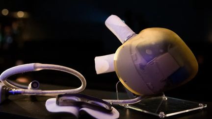 Une offre de reprise acceptée pour le fabricant de cœurs artificiels Carmat, en grande difficulté faute d’investisseurs