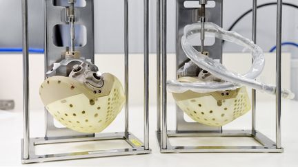 Offre de reprise de Carmat : le repreneur se dit « soulagé mais conscient de l’immense tâche qu’il reste à accomplir »