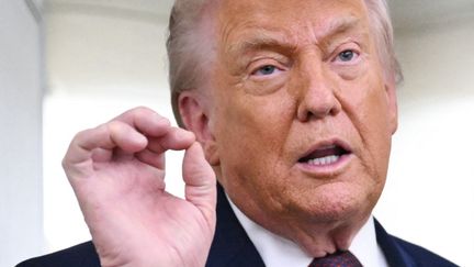 La mort de deux Américains à Minneapolis est liée au « chaos provoqué par les démocrates », selon Donald Trump