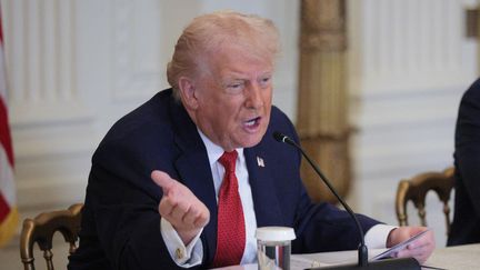 Donald Trump menace d' »imposer des droits de douane » aux pays qui ne soutiennent pas son plan pour s’emparer du Groenland