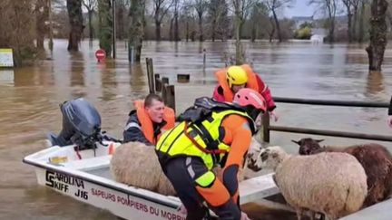 « On anticipe, on met tous les meubles dans la maison » : les habitants du Morbihan se préparent au pic de crue, attendu cette nuit