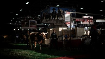 Spectacles de chevaux, duplex avec des vaches… Comment le Salon de l&rsquo;agriculture s&rsquo;adapte à l&rsquo;absence de bovins
