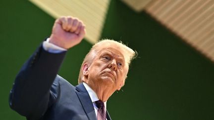 Le « Conseil de paix », « exemple symptomatique » des attaques de Donald Trump contre l’ordre mondial établi depuis 1945