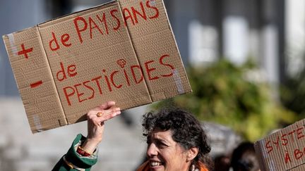 Agriculture : des dizaines de manifestations contre les « lois Duplomb » sur la réautorisation de pesticides