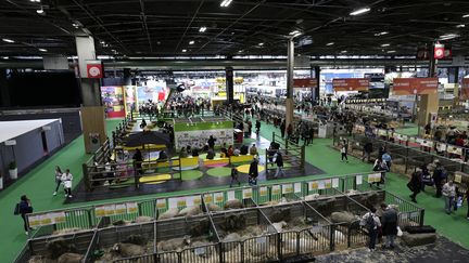 La fréquentation du Salon de l’agriculture en baisse de 25% sur les quatre premiers jours, selon les organisateurs