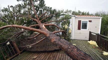 « Beaucoup d’élus nous disent qu’ils font de l’écologie sans la nommer » : la crise climatique au cœur des enjeux des municipales