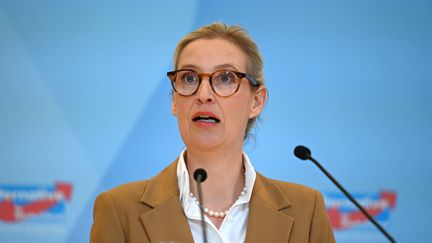 Le tribunal administratif allemand juge que le parti AfD ne peut pas être classé comme « extrémiste » de droite