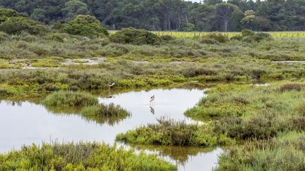 Une semaine après sa disparition, le corps de la jeune Maddy découvert dans la commune de l&rsquo;Hérault où elle avait disparu