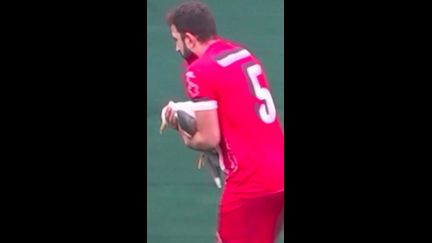 Il tente de sauver une mouette en plein match de foot