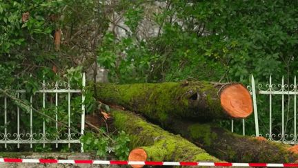 « C&rsquo;est vraiment le ciel qui nous tombe sur la tête » : les images époustouflantes des dégâts de la tempête Nils