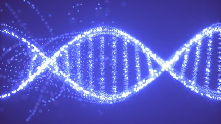 Mort du petit Emile : les campagnes de prélèvement ADN servent « dans un pemier temps, à lever la suspicion générale »