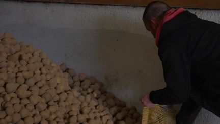 Pas-de-Calais : un agriculteur distribue gratuitement les pommes de terre qu’il n’a pas pu vendre