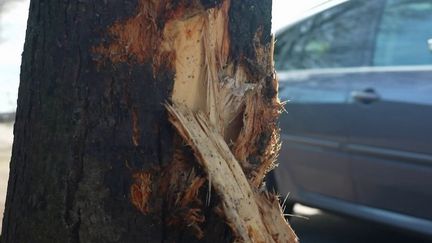 « Le compteur était bloqué à 153 km/h » : trois morts, dont deux adolescents, et deux blessés dans une collision dans le Pas-de-Calais