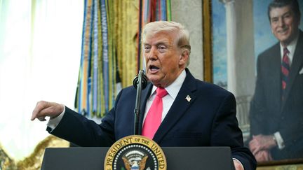 Ce que l&rsquo;on sait du plan de paix proposé par Donald Trump, après un mois de conflit avec l&rsquo;Iran