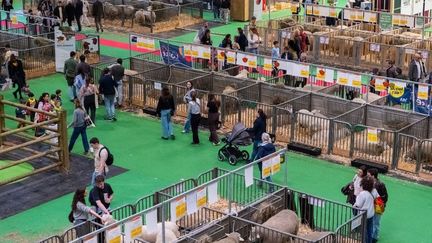 La fréquentation du Salon de l&rsquo;Agriculture a chuté de près de 28% cette année en l&rsquo;absence des bovins