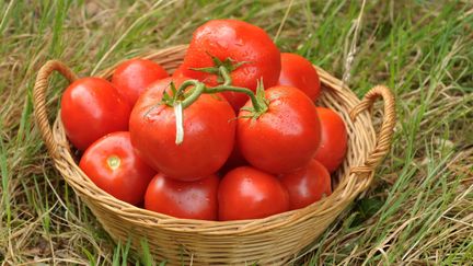 Y a-t-il vraiment moitié moins de cadmium dans les aliments bio ?