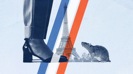 Faut-il éradiquer les rats ou s&rsquo;habituer à vivre avec ? A Paris, le sujet s&rsquo;est faufilé dans la campagne des municipales