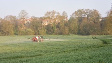 Contamination au cadmium : que proposent les scientifiques, le gouvernement et les syndicats agricoles pour réduire l’exposition des Français ?