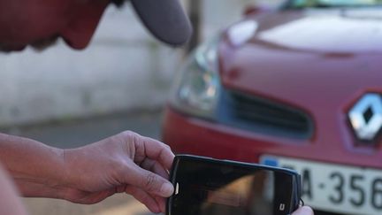 Insectes : comment votre plaque d&rsquo;immatriculation peut aider les chercheurs à mesurer leur déclin