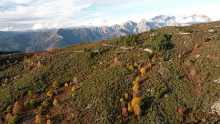 Quarante ans après la catastrophe nucléaire de Tchernobyl, que sait-on de son impact sur l&rsquo;environnement et la santé en France ?