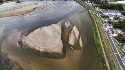 Océans, biodiversité, désertification… mais pas le climat : quels sont les enjeux du G7 Environnement qui se tient en France à partir de jeudi ?