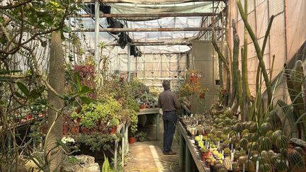 Quarante ans après la catastrophe, la réserve de Tchernobyl est devenue un espace « de reproduction et de refuge » pour les animaux