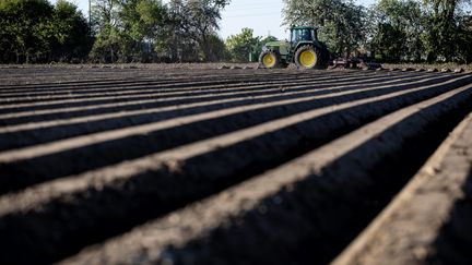 Crise agricole : 43% des agriculteurs français ne dégagent pas un smic de leur activité, révèle une étude de l&rsquo;Observatoire de la rémunération agricole équitable de Max Havelaar France