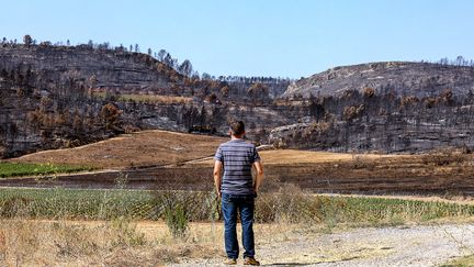 Climat : l&rsquo;Europe se réchauffe deux fois plus vite que la moyenne mondiale, alerte l&rsquo;Institut Copernicus
