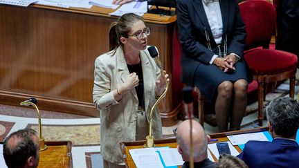 La loi Yadan bientôt de retour sous une autre forme, élargie à toutes les discriminations racistes