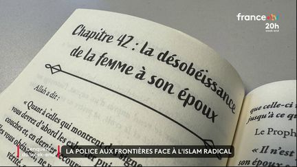 « On va signaler ces profils qui nous semblent à risque » : la police aux frontières face à l’Islam radical