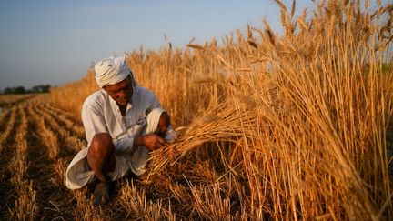 Pourquoi un éventuel phénomène « super El Niño » fait craindre le pire, notamment en Asie