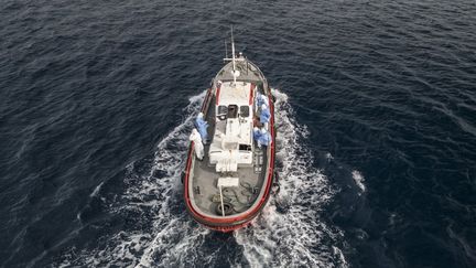 Hantavirus sur un bateau de croisière : pourquoi les autorités sanitaires restent rassurantes sur le risque d&rsquo;épidémie