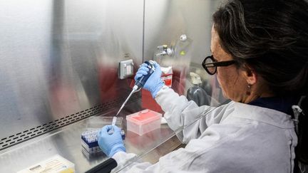 Quand l&rsquo;hantavirus a-t-il été découvert et a-t-il déjà causé des épidémies ?