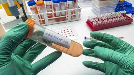« Il ne faut pas paniquer à la moindre annonce » : face à l&rsquo;hantavirus, entre anxiété et critique des médias, les Français tentent de relativiser