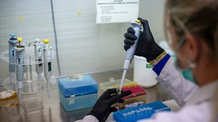 « En cas de pandémie, nous ne sommes pas prêts » : en Argentine, la recherche sur l&rsquo;hantavirus tente d&rsquo;avancer malgré les coupes budgétaires