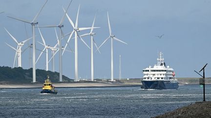 Hantavirus : le navire de croisière « MV Hondius » en approche du port de Rotterdam