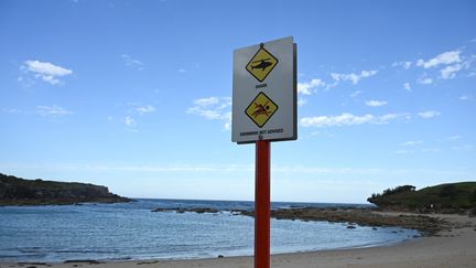 Un homme meurt après une attaque de requin dans le nord-est de l&rsquo;Australie