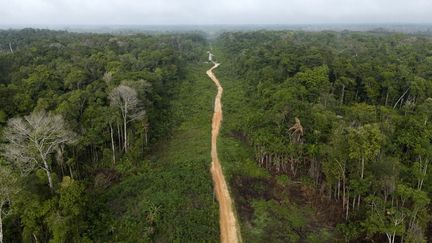La déforestation à son niveau le plus bas depuis 2019 en Amazonie brésilienne