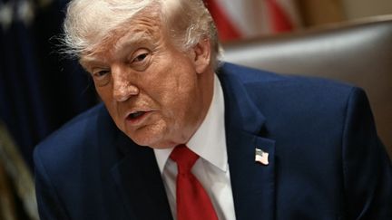 « T&rsquo;es complètement cinglé » : Donald Trump reproche à Benyamin Nétanyahou de mettre en péril les négociations avec l&rsquo;Iran