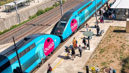 Grève à la SNCF : près de la moitié des cheminots mobilisés, selon la CGT