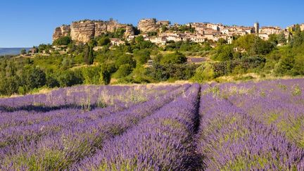 La Dordogne « apaisante », l’Aude « fief de l’étrange », le Finistère « bout du monde »… Quand un journaliste britannique s’est lancé le défi de noter les départements français